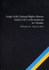 Large-Scale Human Rights Abuses Amid Civil Confrontations in Ukraine February 22- May 22, 2014 Moscow, 2014. 115 s. Eng.